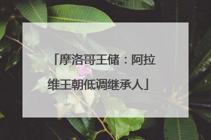 摩洛哥王储：阿拉维王朝低调继承人