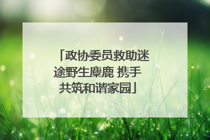 政协委员救助迷途野生麋鹿 携手共筑和谐家园