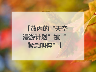 敖丙的“天空漫游计划”被“紧急叫停”