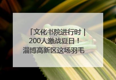 文化书院进行时｜200人激战夏日！淄博高新区这场羽毛球比赛太酷
