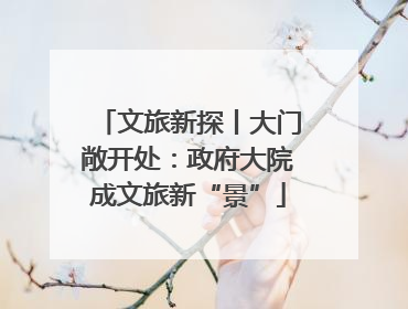 文旅新探丨大门敞开处：政府大院成文旅新“景”