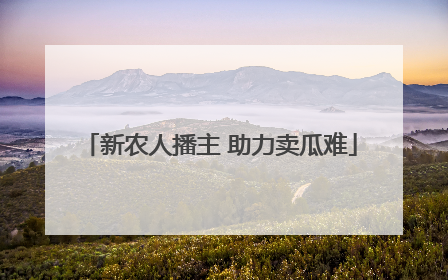 新农人播主 助力卖瓜难