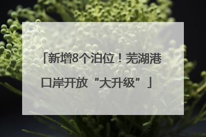 新增8个泊位！芜湖港口岸开放“大升级”