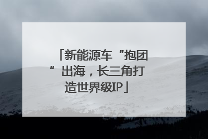 新能源车“抱团”出海，长三角打造世界级IP