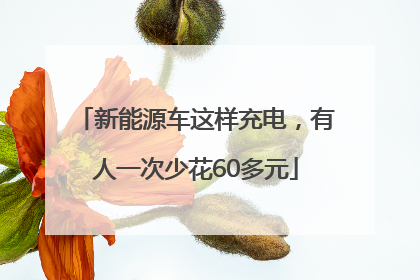 新能源车这样充电，有人一次少花60多元