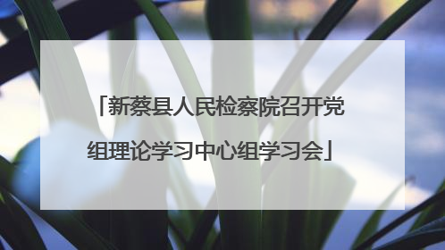 新蔡县人民检察院召开党组理论学习中心组学习会