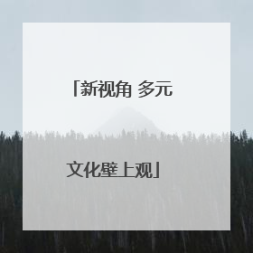 新视角 多元文化壁上观