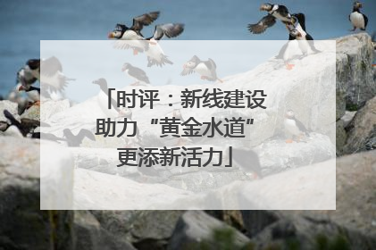 时评：新线建设助力“黄金水道”更添新活力