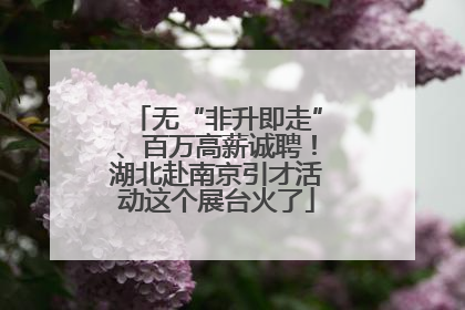 无“非升即走”、百万高薪诚聘！湖北赴南京引才活动这个展台火了