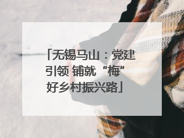 无锡马山：党建引领 铺就“梅”好乡村振兴路
