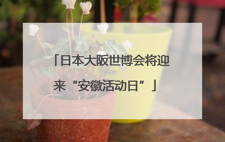 日本大阪世博会将迎来“安徽活动日”