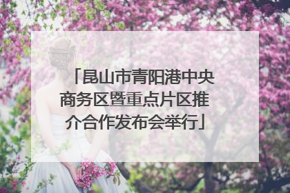 昆山市青阳港中央商务区暨重点片区推介合作发布会举行