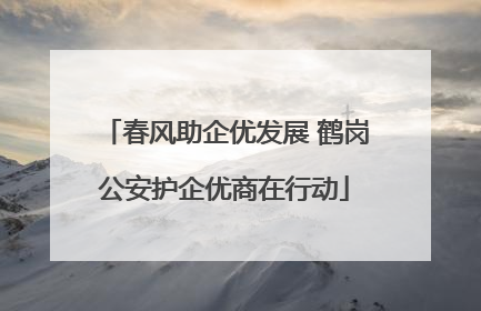 春风助企优发展 鹤岗公安护企优商在行动