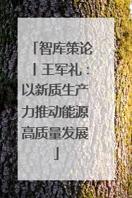 智库策论丨王军礼：以新质生产力推动能源高质量发展
