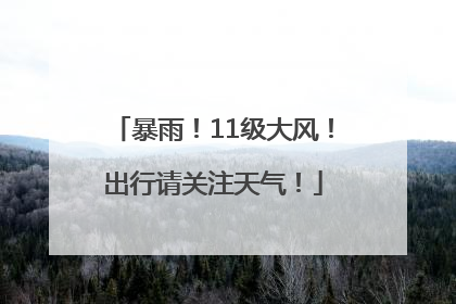 暴雨！11级大风！出行请关注天气！