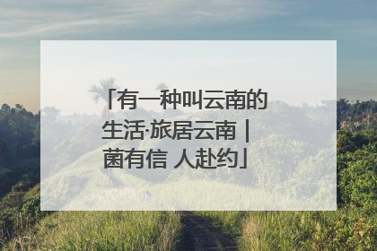 有一种叫云南的生活·旅居云南｜菌有信 人赴约