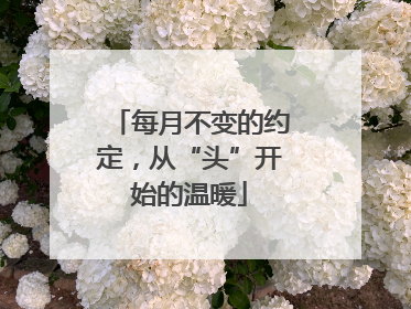 每月不变的约定，从“头”开始的温暖