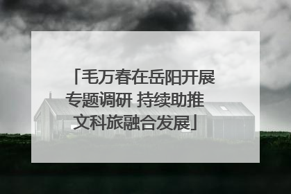 毛万春在岳阳开展专题调研 持续助推文科旅融合发展