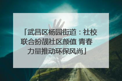 武昌区杨园街道：社校联合扮靓社区颜值 青春力量推动环保风尚