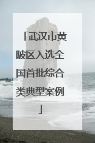 武汉市黄陂区入选全国首批综合类典型案例