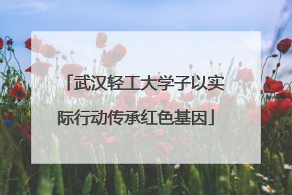 武汉轻工大学子以实际行动传承红色基因
