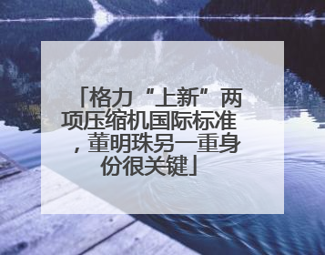 格力“上新”两项压缩机国际标准，董明珠另一重身份很关键