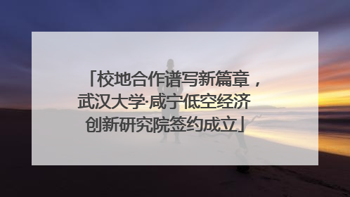 校地合作谱写新篇章，武汉大学·咸宁低空经济创新研究院签约成立