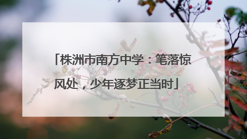 株洲市南方中学：笔落惊风处，少年逐梦正当时