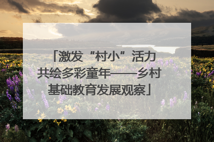 激发“村小”活力 共绘多彩童年——乡村基础教育发展观察
