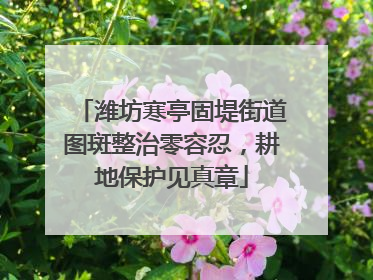 潍坊寒亭固堤街道图斑整治零容忍，耕地保护见真章