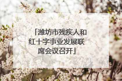 潍坊市残疾人和红十字事业发展联席会议召开