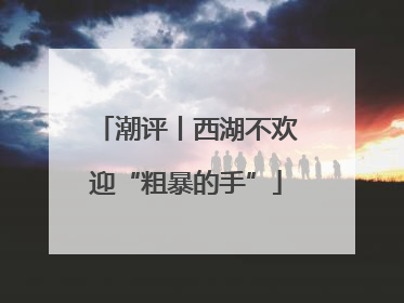 潮评丨西湖不欢迎“粗暴的手”
