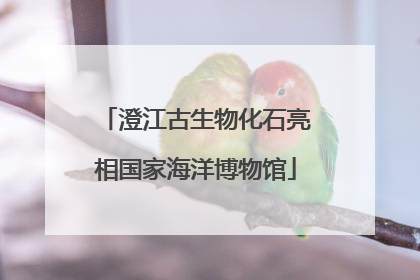 澄江古生物化石亮相国家海洋博物馆