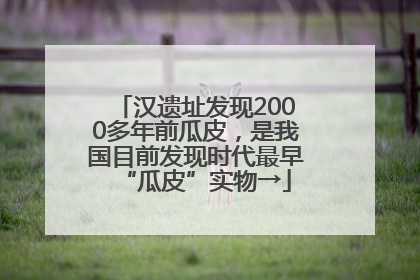 汉遗址发现2000多年前瓜皮，是我国目前发现时代最早“瓜皮”实物→