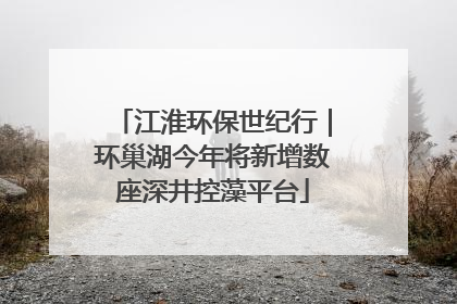 江淮环保世纪行｜环巢湖今年将新增数座深井控藻平台