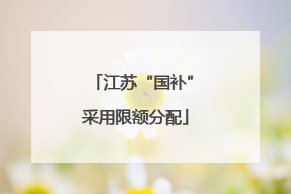 江苏“国补”采用限额分配