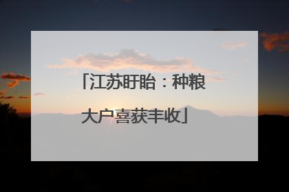江苏盱眙：种粮大户喜获丰收