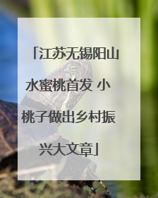 江苏无锡阳山水蜜桃首发 小桃子做出乡村振兴大文章