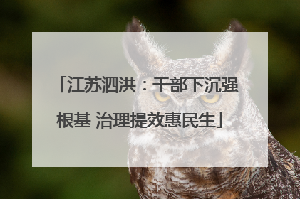 江苏泗洪：干部下沉强根基 治理提效惠民生