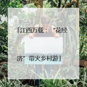 江西万载：“花经济”带火乡村游