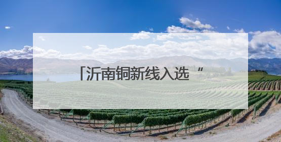 沂南铜新线入选“全国公路安全设施和交通秩序管理精细化提升精品工程”