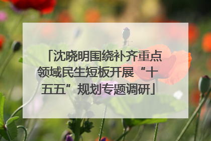 沈晓明围绕补齐重点领域民生短板开展“十五五”规划专题调研