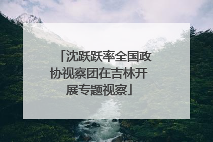沈跃跃率全国政协视察团在吉林开展专题视察