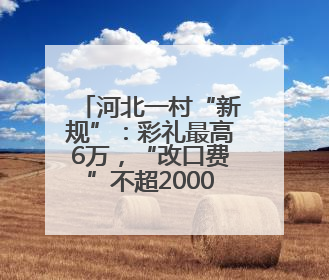 河北一村“新规”：彩礼最高6万，“改口费”不超2000元，婚宴限每户1人参加