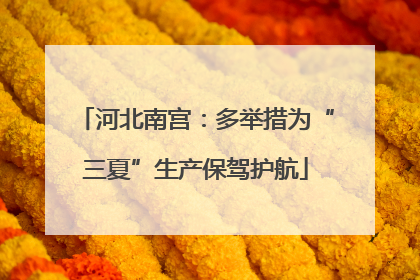 河北南宫：多举措为“三夏”生产保驾护航