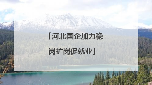 河北国企加力稳岗扩岗促就业