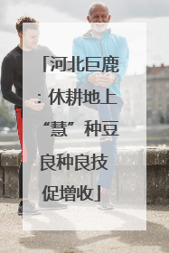 河北巨鹿：休耕地上“慧”种豆 良种良技促增收