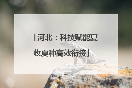 河北：科技赋能夏收夏种高效衔接