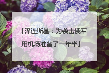 泽连斯基：为袭击俄军用机场准备了一年半
