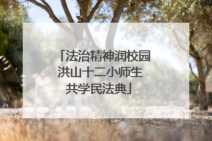 法治精神润校园 洪山十二小师生共学民法典